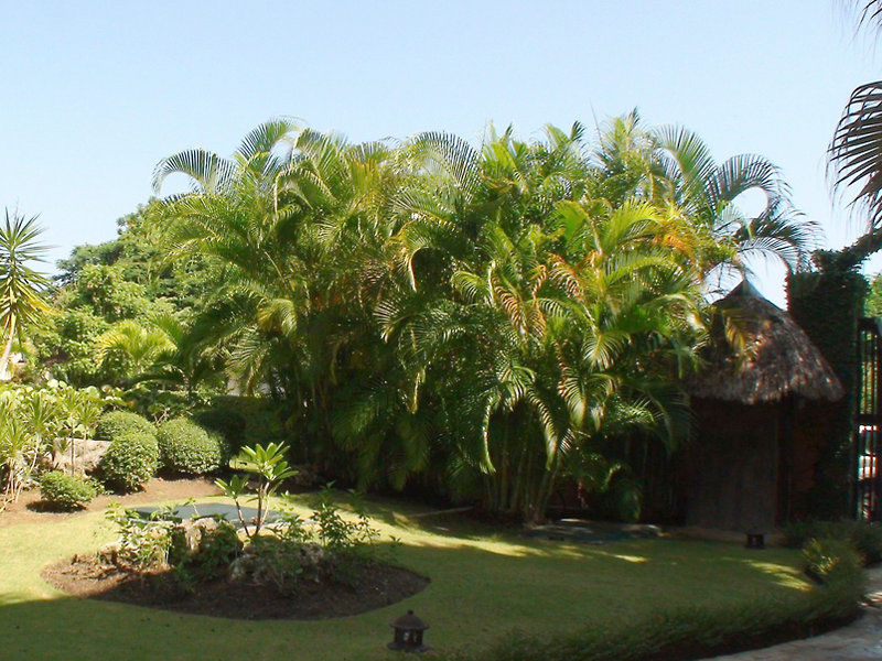Victorian House Hotel Sosua Exterior photo